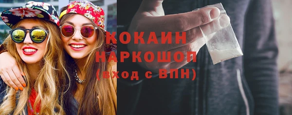 дмт Богданович