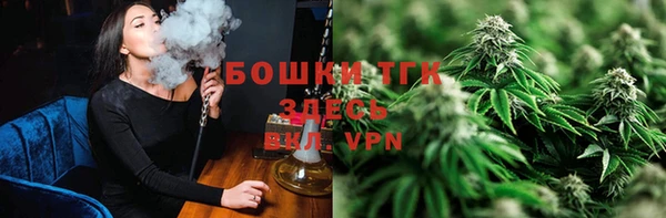 дмт Богданович