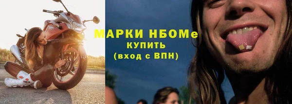 индика Богородск