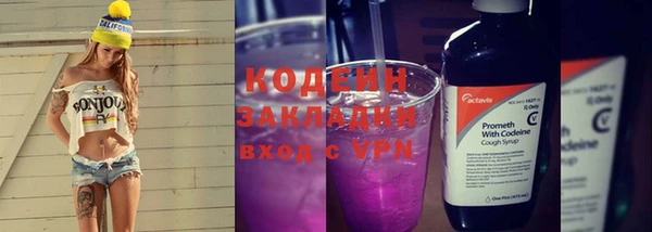 дмт Богданович