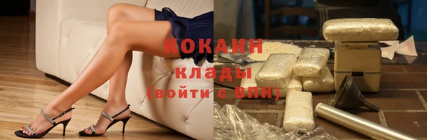 твердый Богородицк