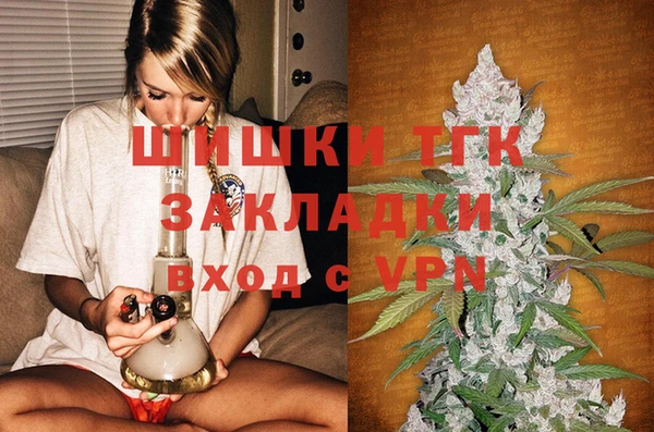 СК Бронницы