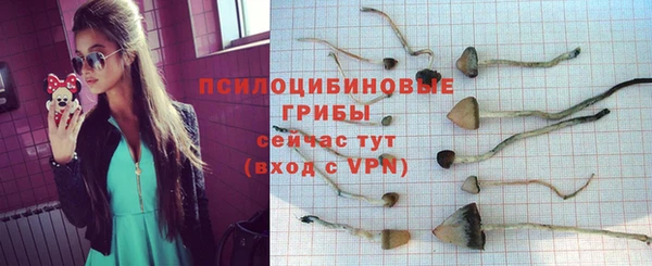 наркотики Бородино