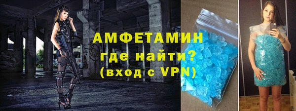 индика Богородск